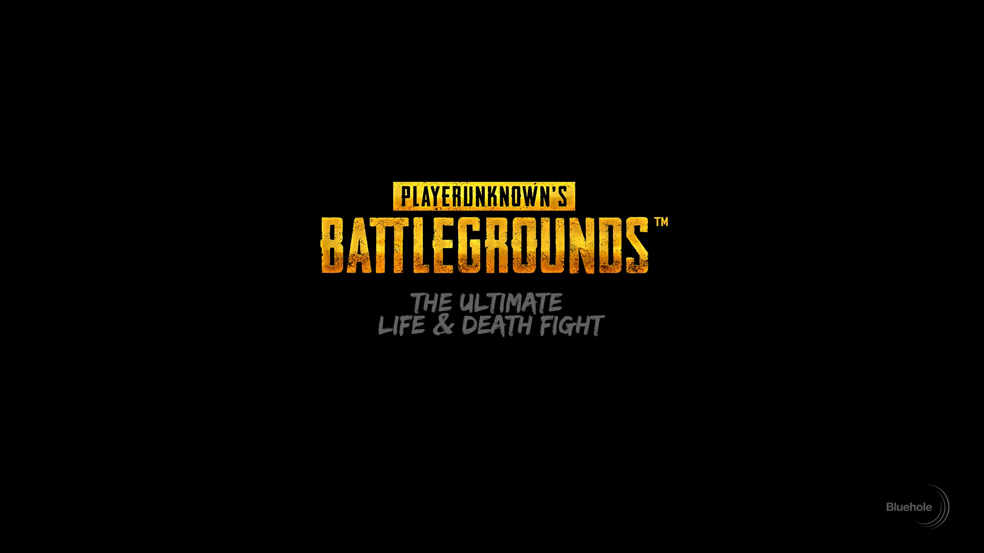 PUBG The Ultimate Life & Death Fight